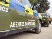 Els Agents Rurals intensifiquen el bloqueig de passos de fauna per contenir els senglars a l’entorn de la zona zero