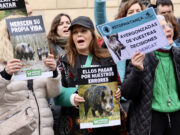 Unes 200 persones protesten a Barcelona contra la “massacre” de senglars a Collserola arran de la pesta porcina