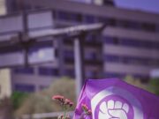 Formació sobre la perspectiva de gènere per a entitats a Gavà