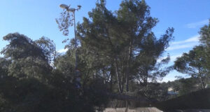 Fort vent previst demà al litoral i prelitoral central i sud de Catalunya