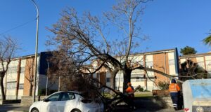 Mor una dona de 46 anys que estava en estat crític després de caure-li part d’un sostre d’una nau a Barcelona pel vent