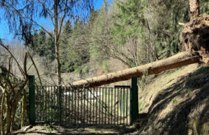 Protecció Civil envia un ES-Alert a sis comarques per demanar que diumenge s’evitin les activitats a l’exterior pel vent