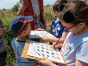 Descobreix els ocells de la platja amb una nova activitat familiar a Gavà