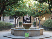 La Sindicatura de Barcelona insta l’Ajuntament a reforçar la neteja i el manteniment dels jardins Rubió i Lluch