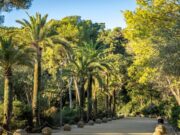El Park Güell renovarà l’enllumenat per millorar-ne la visibilitat i la seguretat amb obres que s’iniciaran a la tardor