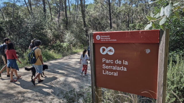 noticia_1782220617.jpg