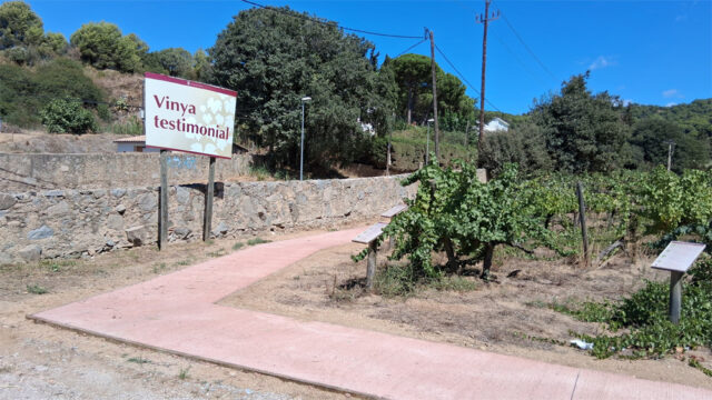 noticia_1789565187.jpg
