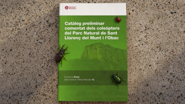 noticia_1793110609.jpg